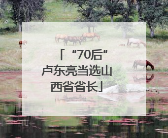 “70后”卢东亮当选山西省省长