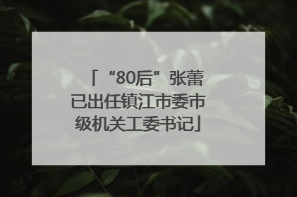“80后”张蕾已出任镇江市委市级机关工委书记