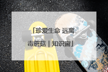 珍爱生命 远离毒蘑菇｜知识窗