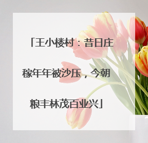 王小楼村：昔日庄稼年年被沙压，今朝粮丰林茂百业兴
