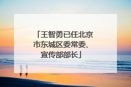 王智勇已任北京市东城区委常委、宣传部部长