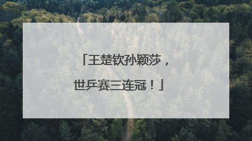 王楚钦孙颖莎，世乒赛三连冠！