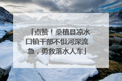 点赞！桑植县凉水口镇干部不惧河深流急，勇救落水人车