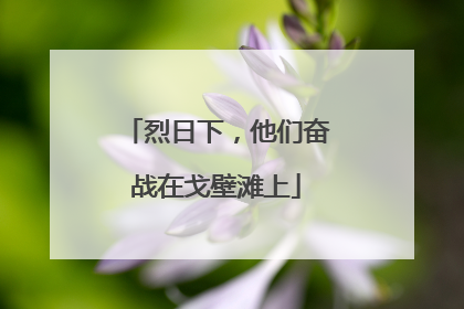 烈日下，他们奋战在戈壁滩上