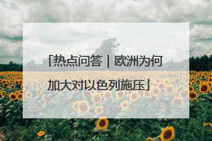 热点问答｜欧洲为何加大对以色列施压