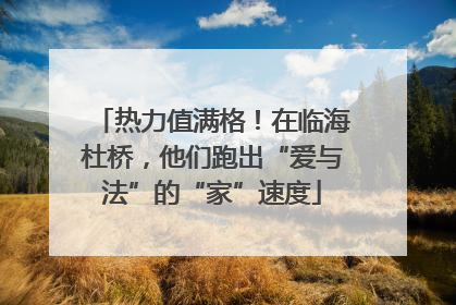 热力值满格！在临海杜桥，他们跑出“爱与法”的“家”速度