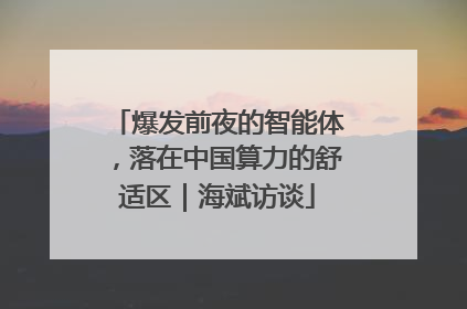 爆发前夜的智能体，落在中国算力的舒适区｜海斌访谈