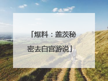 爆料：盖茨秘密去白宫游说