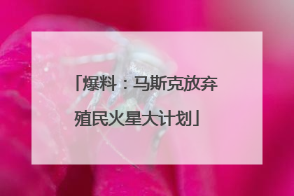 爆料：马斯克放弃殖民火星大计划