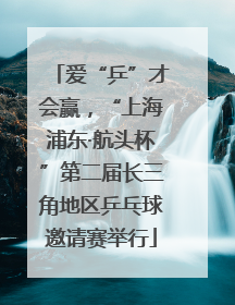 爱“乒”才会赢,“上海浦东·航头杯”第二届长三角地区乒乓球邀请赛举行