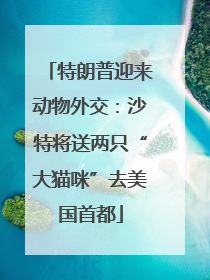 特朗普迎来动物外交：沙特将送两只“大猫咪”去美国首都