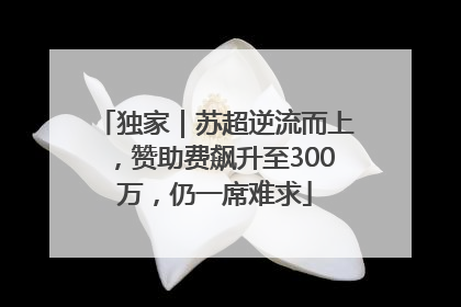 独家｜苏超逆流而上，赞助费飙升至300万，仍一席难求
