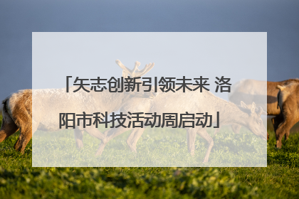 矢志创新引领未来 洛阳市科技活动周启动