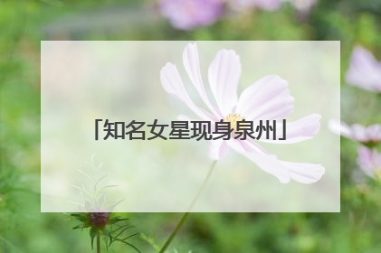 知名女星现身泉州
