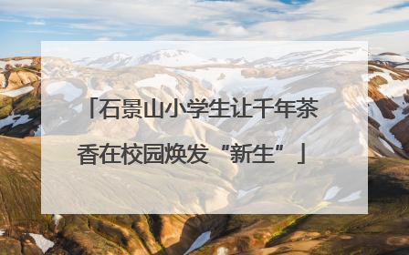 石景山小学生让千年茶香在校园焕发“新生”
