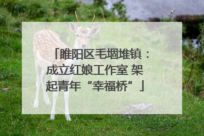 睢阳区毛堌堆镇：成立红娘工作室 架起青年“幸福桥”
