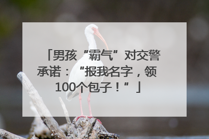 男孩“霸气”对交警承诺：“报我名字，领100个包子！”