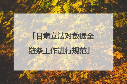 甘肃立法对数据全链条工作进行规范