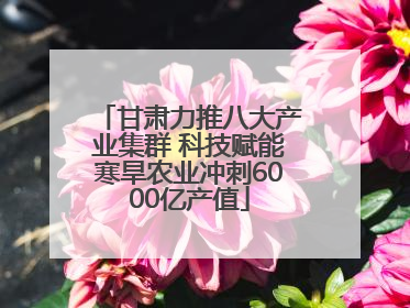 甘肃力推八大产业集群 科技赋能寒旱农业冲刺6000亿产值