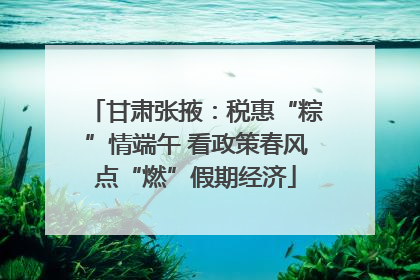 甘肃张掖：税惠“粽”情端午 看政策春风点“燃”假期经济