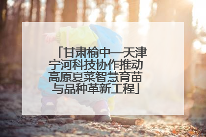 甘肃榆中—天津宁河科技协作推动高原夏菜智慧育苗与品种革新工程