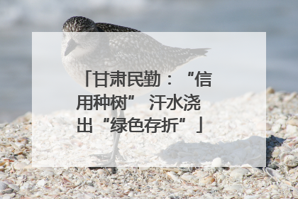 甘肃民勤：“信用种树” 汗水浇出“绿色存折”
