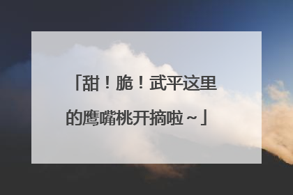甜！脆！武平这里的鹰嘴桃开摘啦～