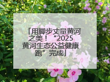 用脚步丈量黄河之美！“2025黄河生态公益健康跑”完成