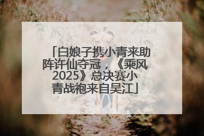 白娘子携小青来助阵许仙夺冠，《乘风2025》总决赛小青战袍来自吴江