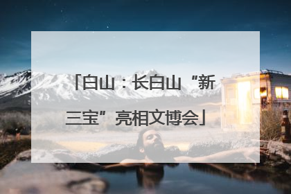 白山：长白山“新三宝”亮相文博会