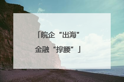 皖企“出海” 金融“撑腰”