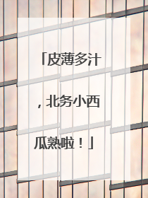 皮薄多汁，北务小西瓜熟啦！