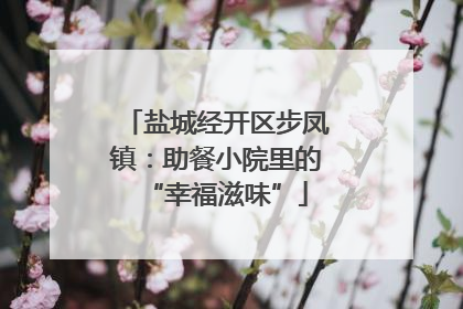 盐城经开区步凤镇：助餐小院里的“幸福滋味”