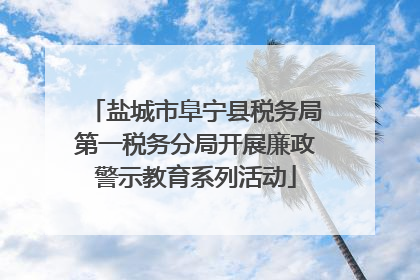 盐城市阜宁县税务局第一税务分局开展廉政警示教育系列活动