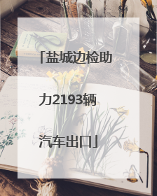盐城边检助力2193辆汽车出口