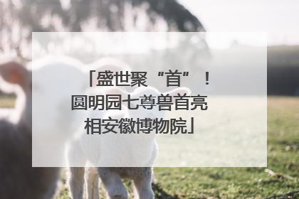 盛世聚“首”！圆明园七尊兽首亮相安徽博物院