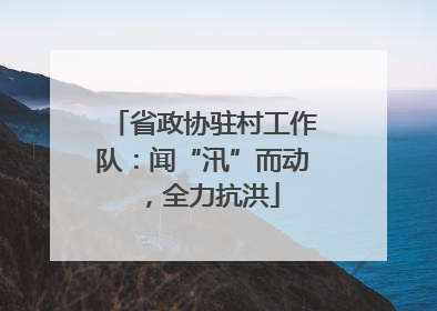 省政协驻村工作队：闻“汛”而动，全力抗洪