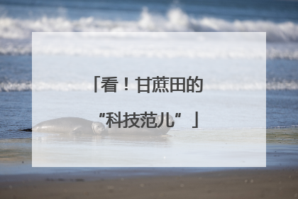 看！甘蔗田的“科技范儿”