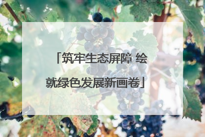 筑牢生态屏障 绘就绿色发展新画卷