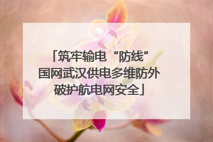 筑牢输电“防线” 国网武汉供电多维防外破护航电网安全