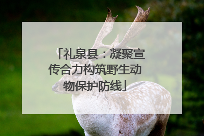 礼泉县：凝聚宣传合力构筑野生动物保护防线
