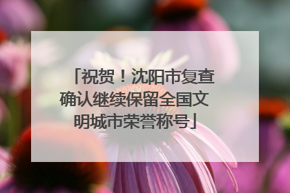 祝贺！沈阳市复查确认继续保留全国文明城市荣誉称号