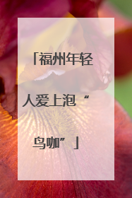 福州年轻人爱上泡“鸟咖”
