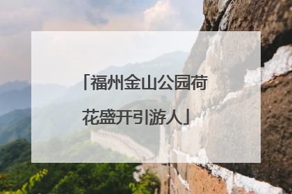 福州金山公园荷花盛开引游人