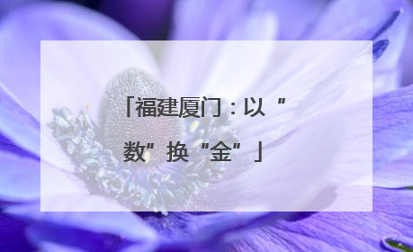 福建厦门：以“数”换“金”