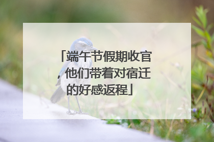端午节假期收官，他们带着对宿迁的好感返程