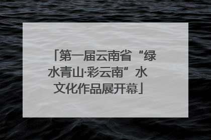 第一届云南省“绿水青山·彩云南”水文化作品展开幕
