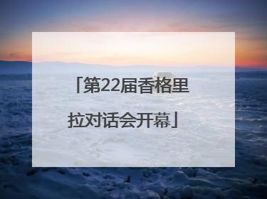 第22届香格里拉对话会开幕