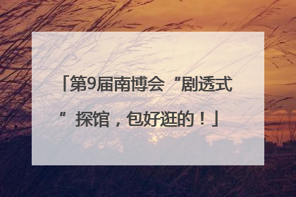 第9届南博会“剧透式”探馆，包好逛的！