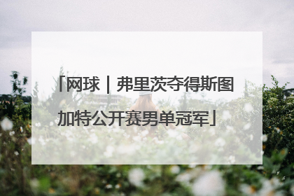 网球｜弗里茨夺得斯图加特公开赛男单冠军